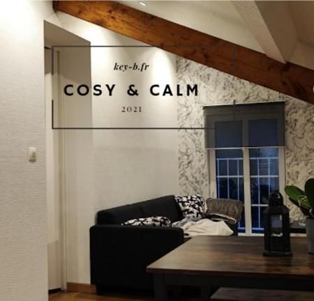 Calm & Cosy Apartman Freyming-Merlebach Kültér fotó